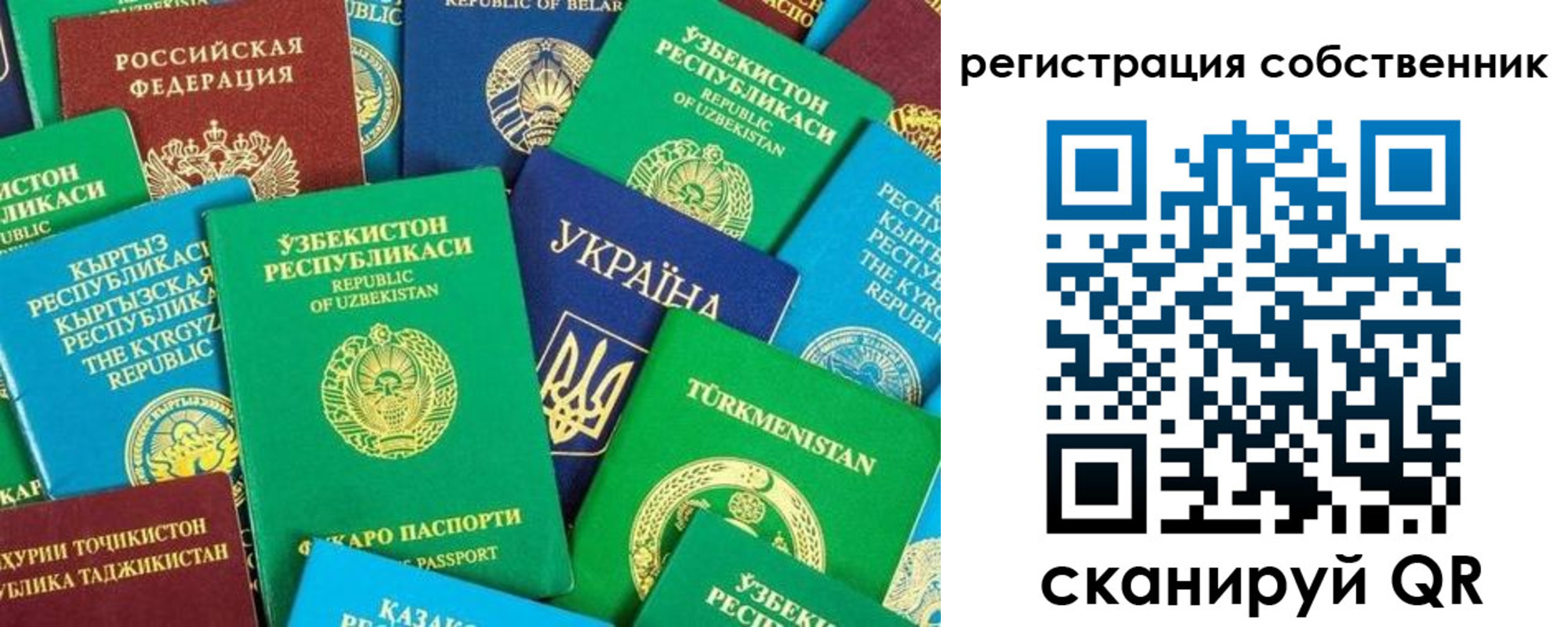 прописка в Арсеньеве